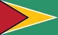 Bandera de Guyana